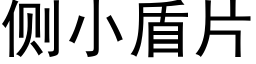 側小盾片 (黑體矢量字庫)