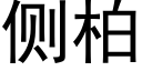 側柏 (黑體矢量字庫)