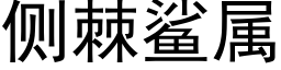 侧棘鲨属 (黑体矢量字库)