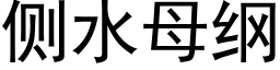 侧水母纲 (黑体矢量字库)