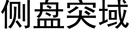 侧盘突域 (黑体矢量字库)