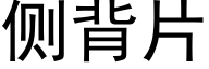 侧背片 (黑体矢量字库)