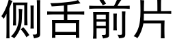 側舌前片 (黑體矢量字庫)