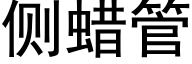 侧蜡管 (黑体矢量字库)