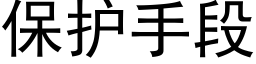 保护手段 (黑体矢量字库)