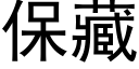 保藏 (黑体矢量字库)