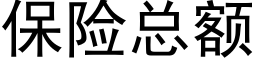 保險總額 (黑體矢量字庫)