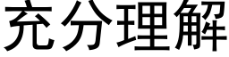 充分理解 (黑體矢量字庫)