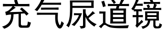 充氣尿道鏡 (黑體矢量字庫)