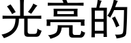 光亮的 (黑體矢量字庫)