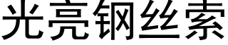 光亮鋼絲索 (黑體矢量字庫)