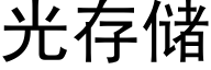 光存儲 (黑體矢量字庫)