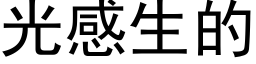 光感生的 (黑體矢量字庫)