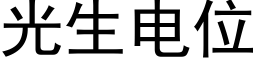 光生電位 (黑體矢量字庫)