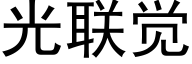 光聯覺 (黑體矢量字庫)