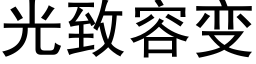 光緻容變 (黑體矢量字庫)