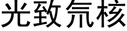 光緻氘核 (黑體矢量字庫)