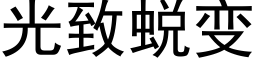 光緻蛻變 (黑體矢量字庫)