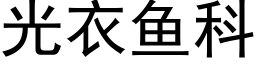 光衣魚科 (黑體矢量字庫)