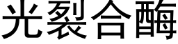 光裂合酶 (黑體矢量字庫)