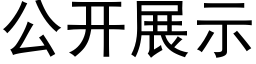 公开展示 (黑体矢量字库)