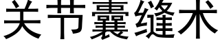 关节囊缝术 (黑体矢量字库)