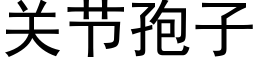 關節孢子 (黑體矢量字庫)