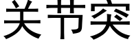 关节突 (黑体矢量字库)