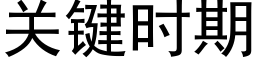 關鍵時期 (黑體矢量字庫)