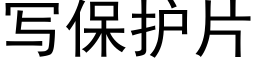 寫保護片 (黑體矢量字庫)