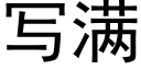 寫滿 (黑體矢量字庫)