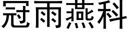 冠雨燕科 (黑體矢量字庫)