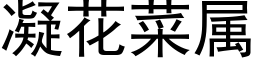 凝花菜屬 (黑體矢量字庫)