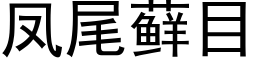 鳳尾藓目 (黑體矢量字庫)