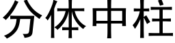 分體中柱 (黑體矢量字庫)