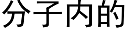 分子内的 (黑體矢量字庫)