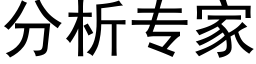 分析專家 (黑體矢量字庫)