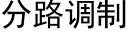 分路調制 (黑體矢量字庫)