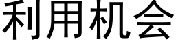 利用机会 (黑体矢量字库)