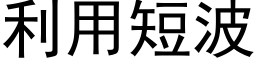 利用短波 (黑体矢量字库)