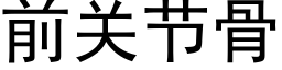 前關節骨 (黑體矢量字庫)