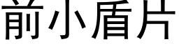 前小盾片 (黑體矢量字庫)