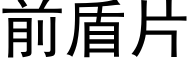 前盾片 (黑體矢量字庫)