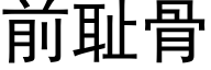 前耻骨 (黑体矢量字库)