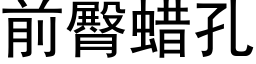 前臀蠟孔 (黑體矢量字庫)