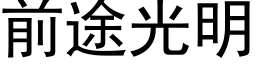 前途光明 (黑体矢量字库)