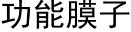 功能膜子 (黑體矢量字庫)