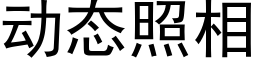 动态照相 (黑体矢量字库)