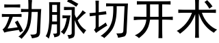 動脈切開術 (黑體矢量字庫)