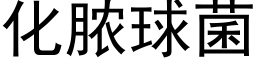 化脓球菌 (黑体矢量字库)